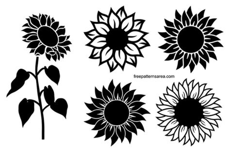 Sunflower Plant Clipart Black And White