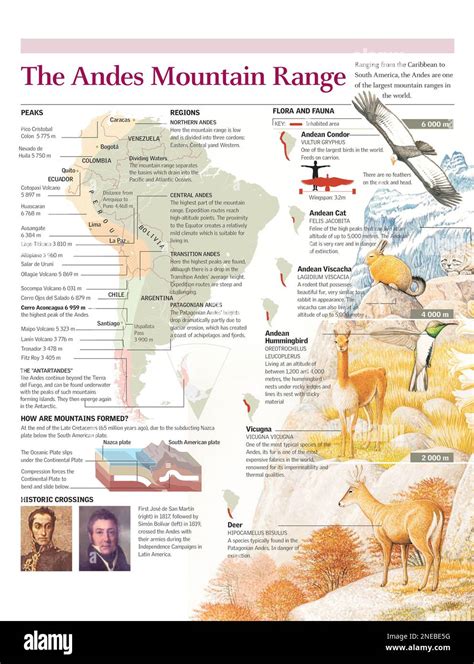 Infographic on the Geography, flora and fauna of the Andes mountain ...