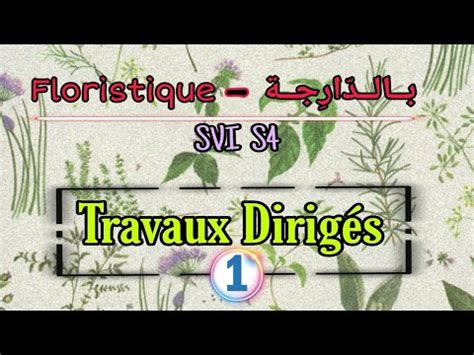 Travaux Dirig S Floristique Svi S Youtube