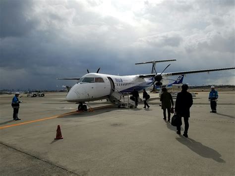 プロペラ機 さくら保険サービス 株式会社