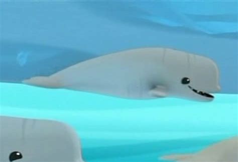 Category:Whales | Octonauts Wiki | Fandom powered by Wikia