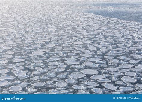 Sea Ice Edge Stock Photo Image Of Environment Glacial 40765648