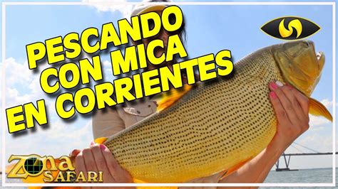 Pesca De Dorados En Corrientes YouTube