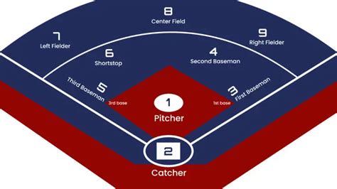 What are the Positions in Softball? Get Your Career Started Here ...