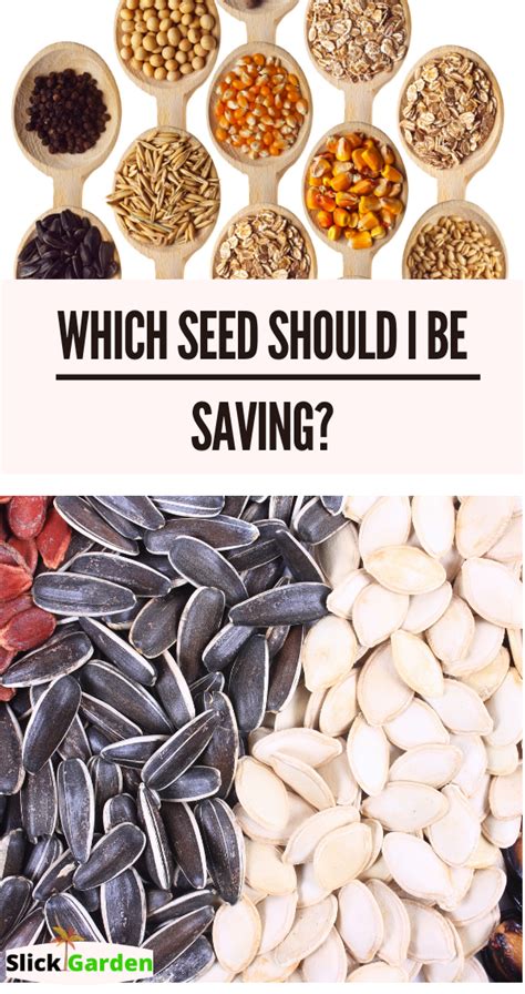 How To Save Seeds Artofit