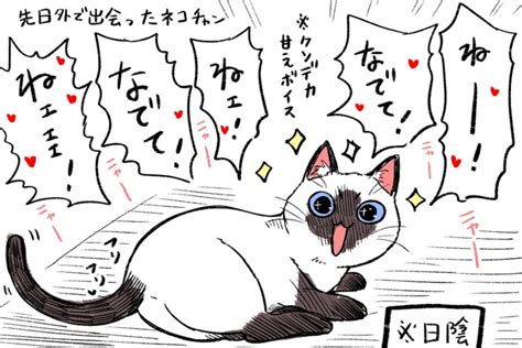 猫圧がすごい 外出先で出会った猫の漫画に5万人胸キュン「くそかわ」 Hint Pot