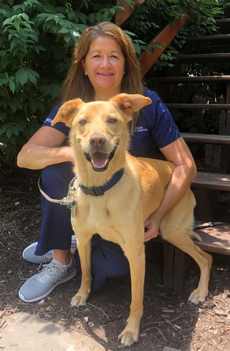 Countryside Veterinary Hospital | Our Staff