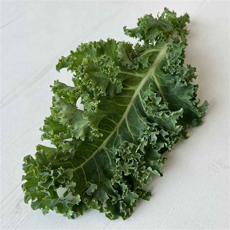 Bulk Kale Seeds Dwarf Siberian Bulk Seed Store