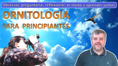 ORNITOLOGIA PARA PRINCIPIANTES YouTube