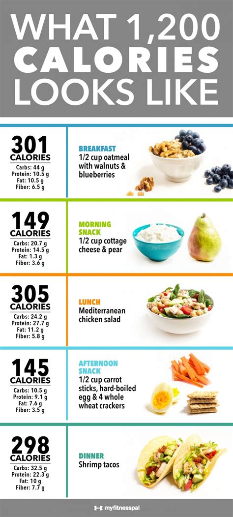 beginner printable dr nowzaradan diet plan 1200 calories pdf | PrintableDietPlan.com