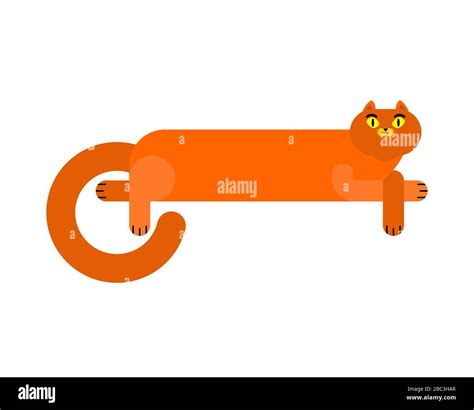 Long cat isolated. Cartoon pet. vector illustration Stock Vector Image ...