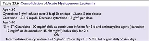 Acute Leukemia The Bethesda Handbook Of Clinical Oncology Th Ed