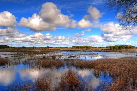 El Parque Nacional de Doñana Patrimonio de la Humanidad en Andalucía