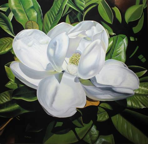 Southern Magnolia Blossom Oil Painting Demonstration