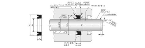 Ush Pistonrod Seal Dual Use Packing Integrated Groove Mounting