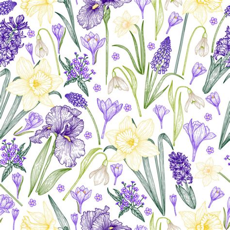 Daffodil Pattern Free Stock Vectors