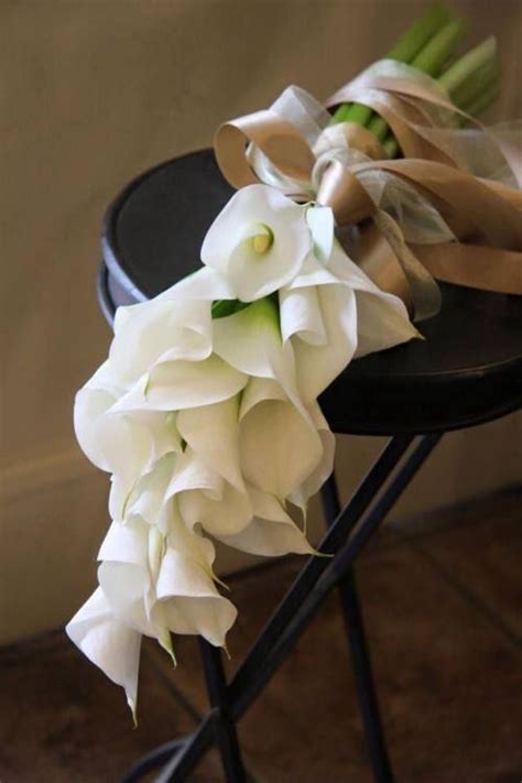 Simple Calla Lily Bouquet