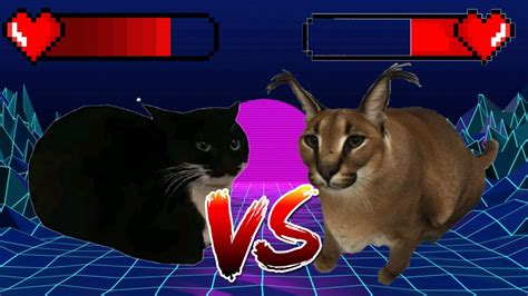 Maxwell Cat Vs Floppa Youtube