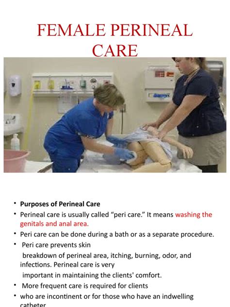 Female Perineal Care Procedures Pdf