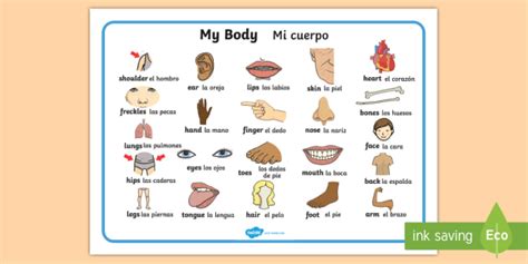 My Body Word Mat English Spanish Teacher Made