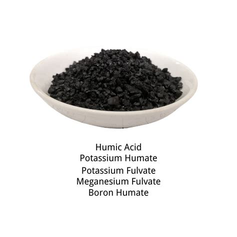 Water Soluble Humic Acid Organic Fertilizer