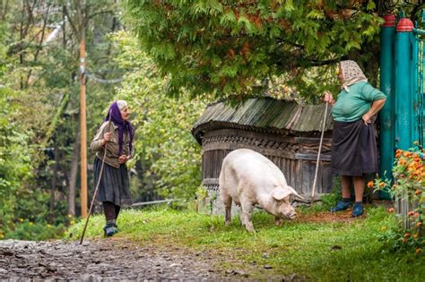 Tours of Romania and Eastern Europe - Best Countryside of Romania Tour