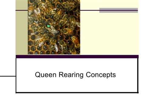 Concepts Of Queen Rearing For The Beekeepers Ppt