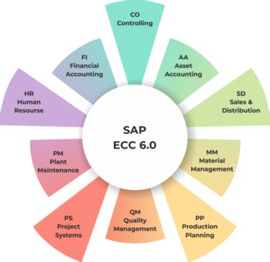 SAP FICO MM SD ABAP S4HANA REAL TIME TRAINING 7996737373 Software