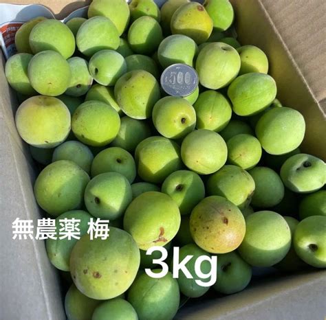 無農薬 梅 3kg｜paypayフリマ