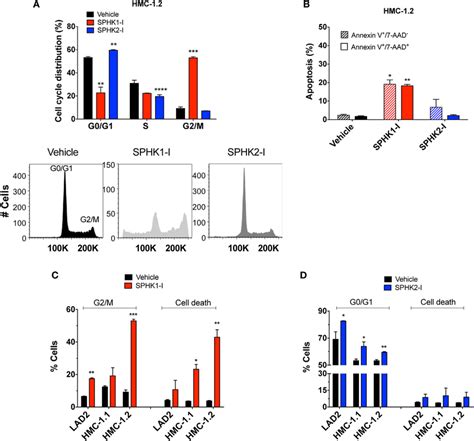 Effect Of Sphk Or Sphk Inhibition On Cell Cycle Arrest And Cell