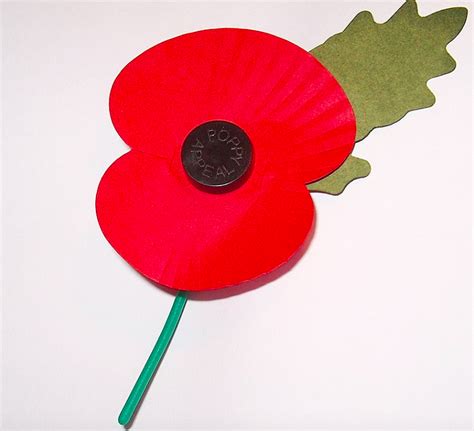 What’s the significance of poppies on Remembrance Day?