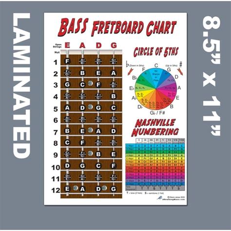 Buy Laminated 4 String Bass Fretboard Notes Chart Nashville Number System And Circle Of 5ths Easy