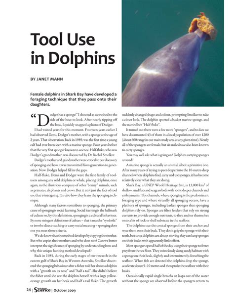 Pdf Tool Use In Dolphins