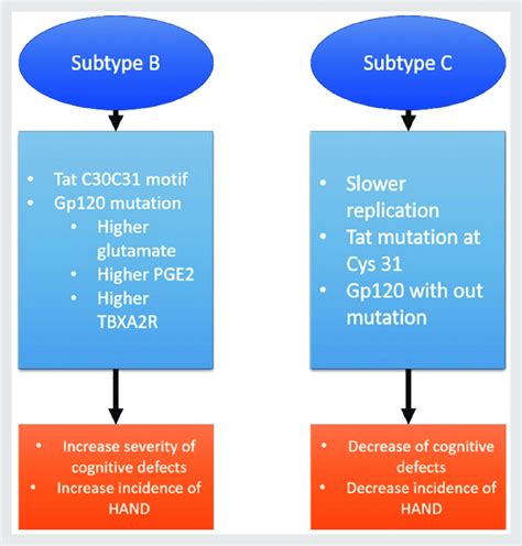 Comparison Of Subtype B To Subtype C A Comparison Of Hiv Subtype B