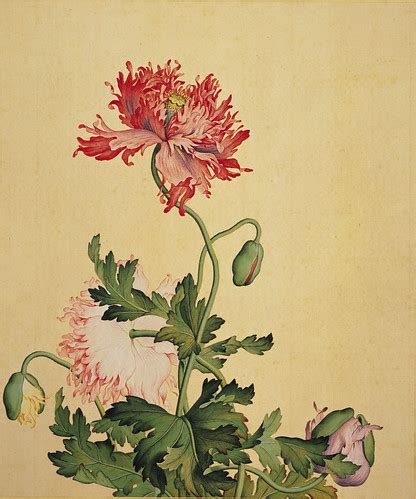 Expressions of the Mind | Chinese Flower Painting | China Online Museum