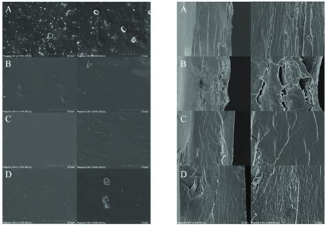 Sem Images Of The Film Surface Left And Cross Section Right A