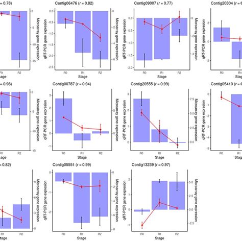 Differentially Expressed Genes During Three Stages Of Resprouting In