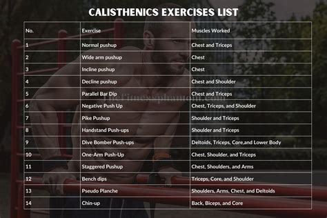 Calisthenics Exercises List for Each Muscle Group w/PDF