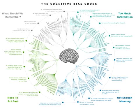 Conoscere E Comprendere I Bias Cognitivi Dott Ssa Elena Bizzotto