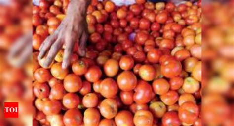 Chennai Supply Up Tomato Prices Touch Rs 15 A Kilogram In Retail