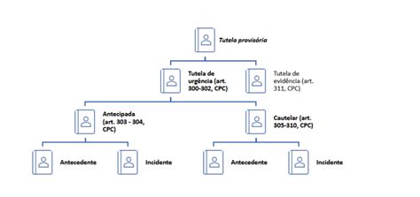 Art 300 ao art 302 do Novo CPC comentado tutela provisória