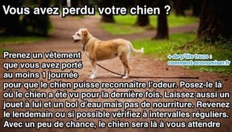 L Astuce Stup Fiante Pour Retrouver Un Chien Perdu