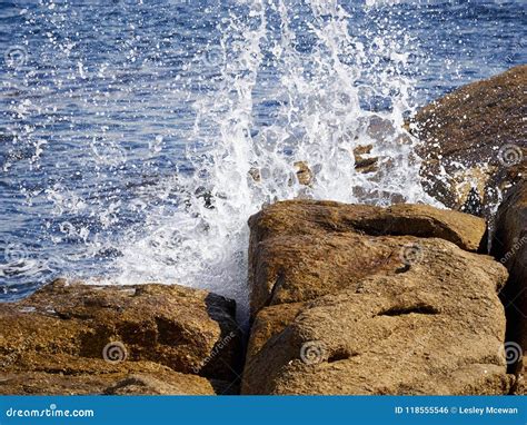 Splash Of Wave On Rocks On Coastline Stock Photo Image Of Shore