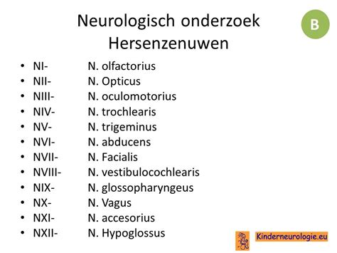 Neurologisch Onderzoek Kinderneurologie