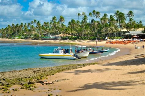 Excursão à Praia do Forte e Guarajuba saindo de Salvador