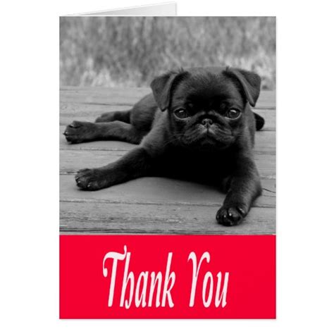 Thank You Pug Puppy Pink Black And White Note Card Zazzle