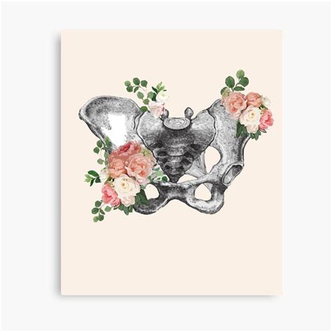 Lienzo Rosa y anatomía pelvis femenina floral feminismo anatomía