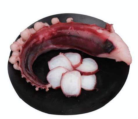 Squid Tentacles Giant Squid Leg Squid Frozen Seafood Squid Tentacle China Squid Tentacle And