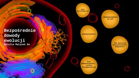 Bezpo Rednie Dowody Ewolucji By Natalia Matysek On Prezi