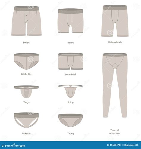 Male Underwear Types Flat Line Icons Set Vector Image Atelier Yuwa